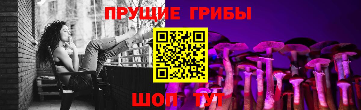 Псилоцибиновые грибы Psilocybe  Вход с VPN  Галлюциногенные грибы Cubensis  Махачкала 